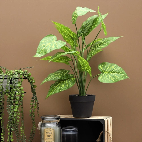 Umělá rostlina Alocasia Intesi 55 cm moderní dekorace do obýváku a ložnice jako živá