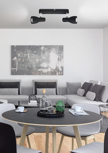 Moderní stropní svítidlo Picardo černá matná, nastavitelná, do obýváku a kuchyně, 2bodová