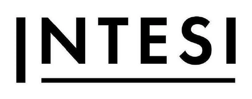 Zimostráz v bílém květináči 38 cm