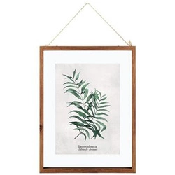 Listy Burretiokentia dřevěný rám
