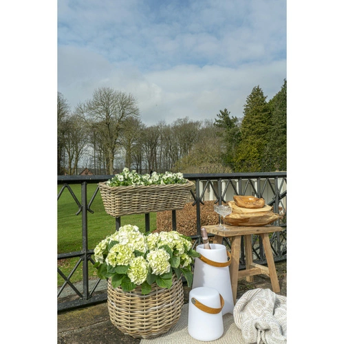 LED lampička Bristol 37 cm