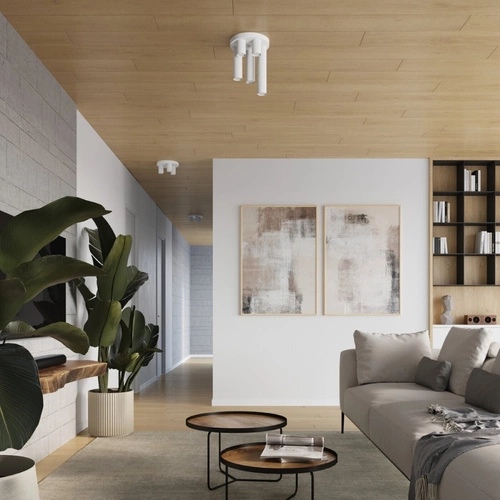 Stropní svítidlo LAGOS 3P bílá moderní ocelová do obýváku a ložnice 25 cm SOLLUX