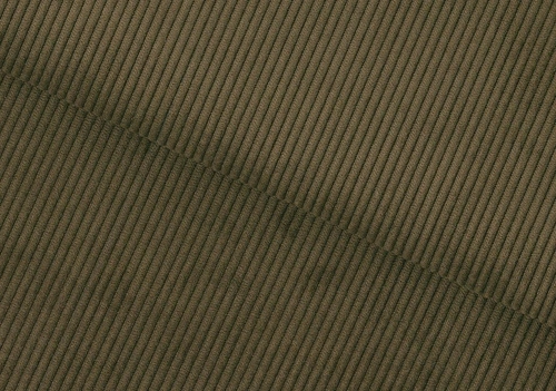 Čalouněná židle Eris Actona manšestr zelená moderní do jídelny a obýváku