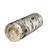 Birch \ 25x60 cm