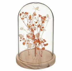 Sušené květiny pod cikánským stínidlem