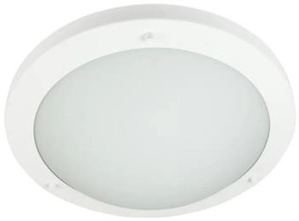 Stropní LED svítidlo Aquila 31 cm bílé skleněné kulaté IP44 moderní do koupelny