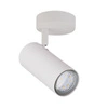 Nástěnné svítidlo Colly lamp white 1x15W GU10 diffuser white