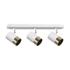 Stropní svítidlo Tobi strip white 3x15W GU10 diffuser white+gold