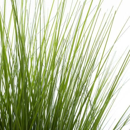 Umělá tráva v květináči o průměru 74 cm