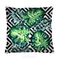 Hipno monstera