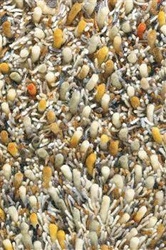 Koberec Shaggy Spring béžový 170x240cm