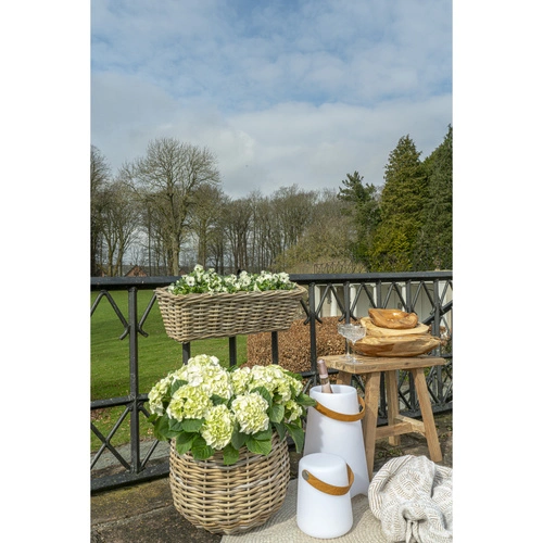 LED lampička Bristol 21 cm