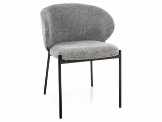 Jídelní čalouněná židle s područkami Elsme šedá Intesi