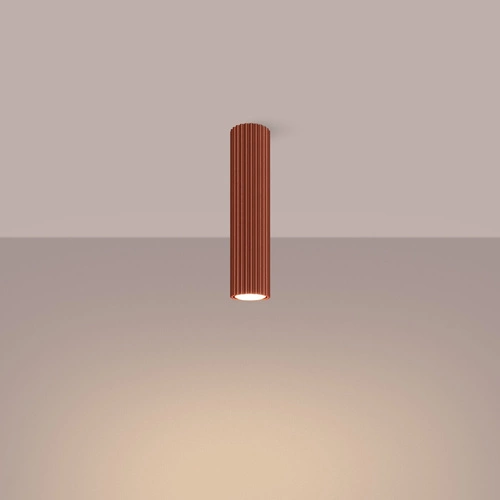 Stropní svítidlo KARBON 30 červené minimalistické do obýváku a ložnice hliník