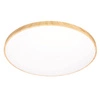 Stropní svítidlo TENS stropní svítidlo s efektem dřeva 48W LED 3000/4000/6000K 59cm, dálkové ovládání