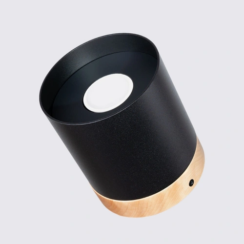 Stropní LED svítidlo RIF černé moderní do obýváku a ložnice SOLLUX LIGHTING