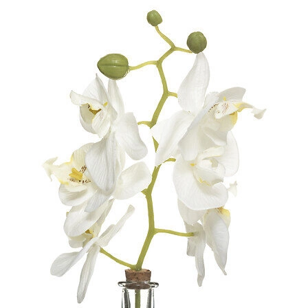 Umělá bílá orchidej ve skleněné váze Edi 40 cm moderní do obýváku Atmosphera