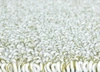 200x300cm \ olivová