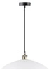 Závěsná lampa Dexter 1x60W E27