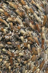 Hnědý vlněný shaggy koberec do obýváku Shaggy Spring moderní 200x300 Carpets&More