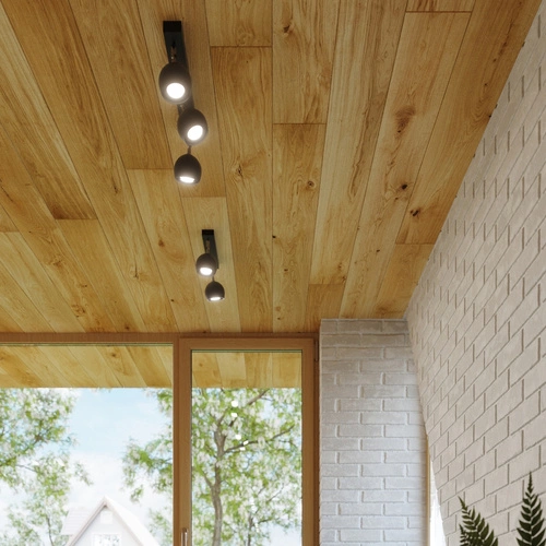 Stropní LED svítidlo OCULARE 2 černé moderní do obýváku, kuchyně nebo ložnice 30 cm