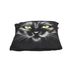 NERO sametový dekorační polštář s potiskem kočky 40x40 cm do obýváku Intesi