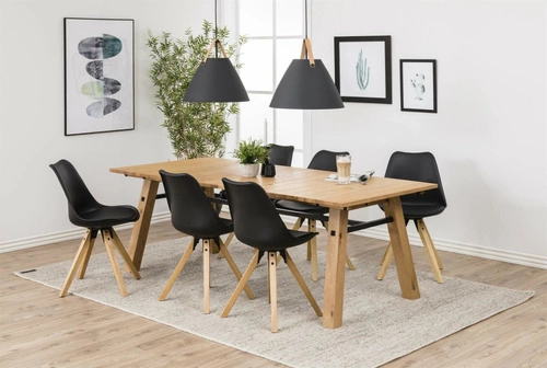 Jídelní židle Dima Actona moderní černá plastová a dřevěná snadné čištění