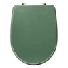 Zelené WC sedátko Duo z duroplastu s pomalým sklápěním moderní