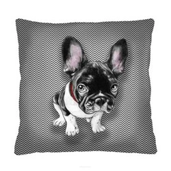 CHESTER sametový dekorační polštář hypoalergenní do obýváku nebo ložnice 40x40 cm