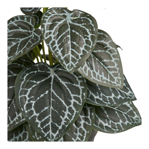 Fittonie umělá v květináči 33 cm House Nordic do obýváku a předsíně