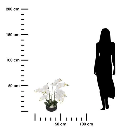 Umělá orchidej Atmosphera v černém květináči 65 cm moderní do obýváku