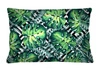 Hipno monstera
