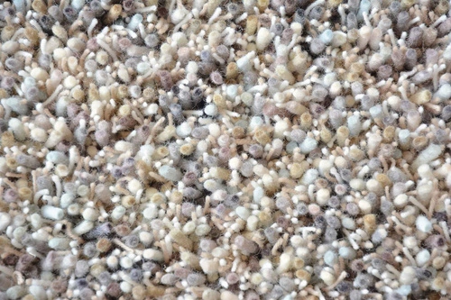 Koberec Shaggy Young tmavě šedý 250x350cm