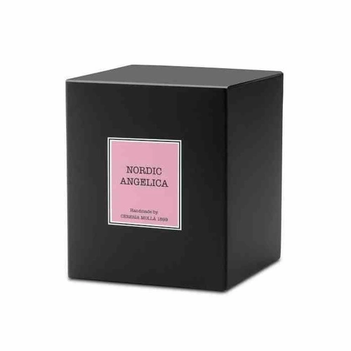 Vonná sójová svíčka Cereria Molla Santiago 230g ořechová do obýváku jako dárek