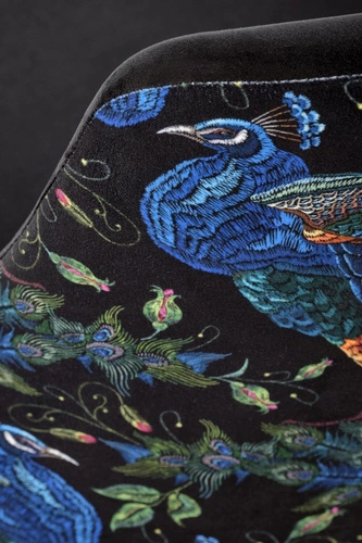 Jídelní židle Arkansas černá sametová čalouněná na dřevěných nohách moderní Intesi