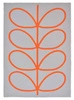 140x200 cm \ oranžová