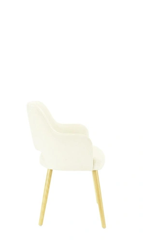 FAMEG B-2134 čalouněná jídelní židle s područkami béžová