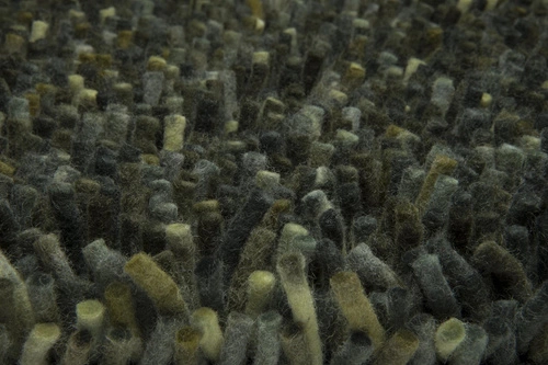 Vlněný koberec shaggy Shaggy Rocks zelený 250x350 moderní do obýváku snadno čistitelný