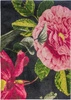 Koberec Interfloral 240x340 Koberce Decor