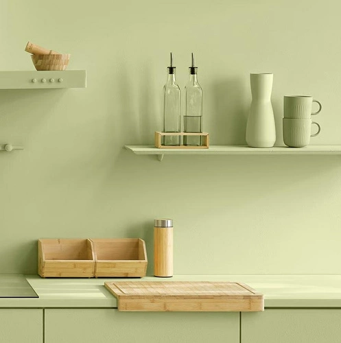 Babus organizátor S