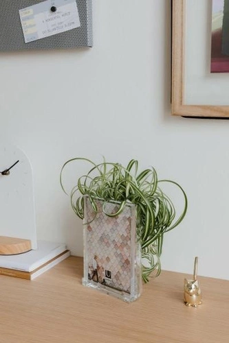 Rám/organizátor Optic