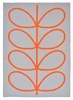 Venkovní koberec Giant Linear Stem Persimmon 250x350cm