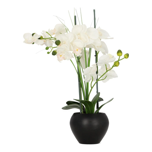 Umělá orchidej Atmosphera bílá moderní do obýváku 53 cm jako živá v květináči