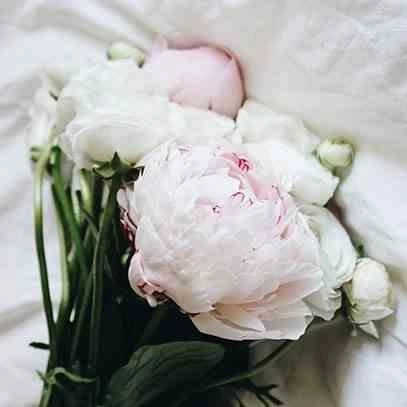 Vonná sójová svíčka ve skle French Linen Cereria Molla 230g béžová dárková