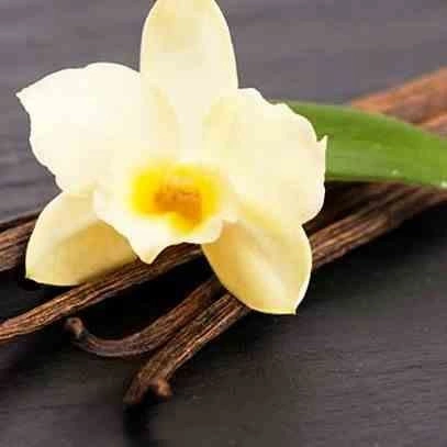 Aroma difuzér Cereria Molla Ginger and Orange Blossom 100ml černé sklo do obývacího pokoje