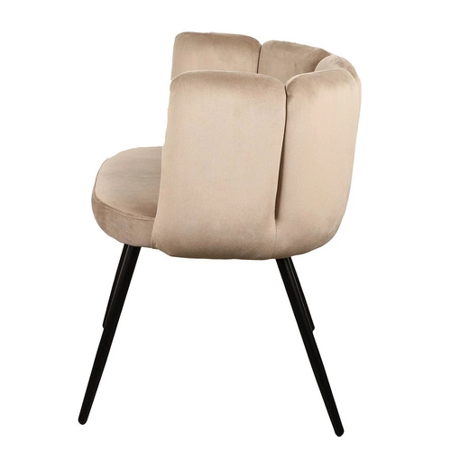 Jídelní židle Paume Intesi čalouněná sametem písková s područkami moderní